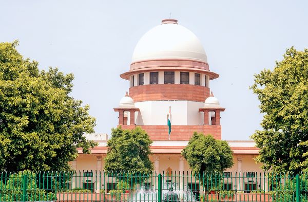 उच्चतम न्यायालय आवारा पशु संबंधी एनएचएआई की याचिका पर सुनवाई के लिए विशेष पीठ गठित करेगा